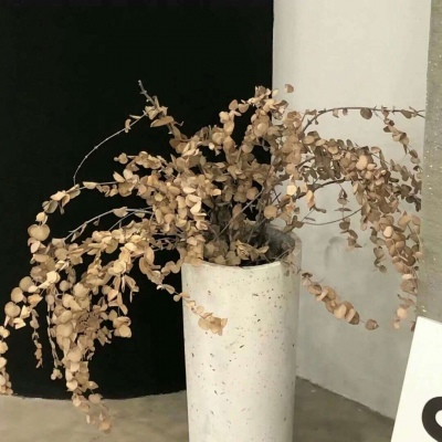 噶尔FurryQQ群介绍